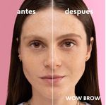 Set-Wow-Brow-y-Labial-Mate