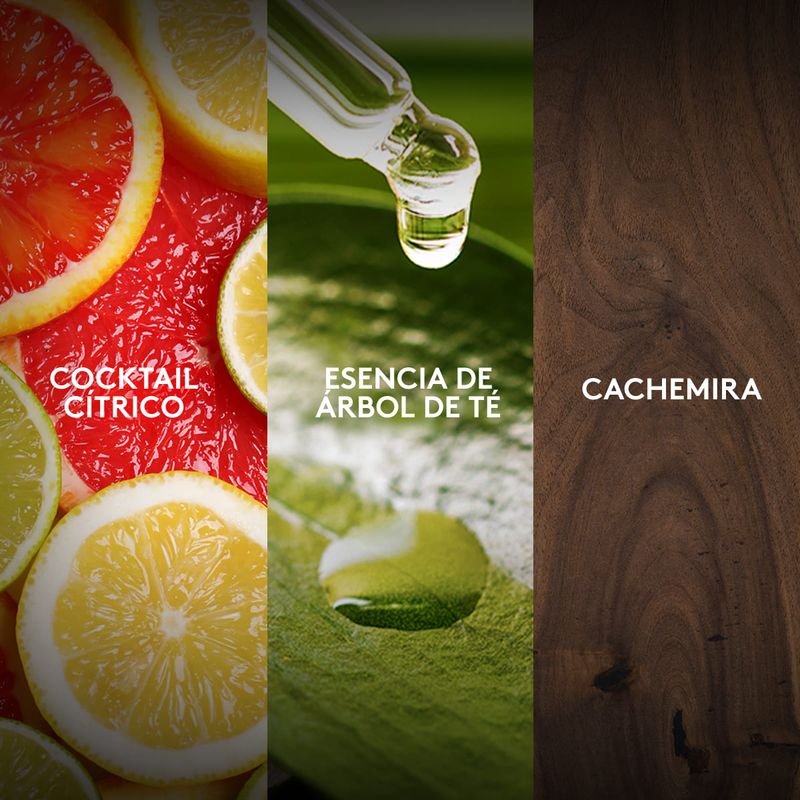 ingredientes-perfume-winner-tech-de-muy-larga-duracion