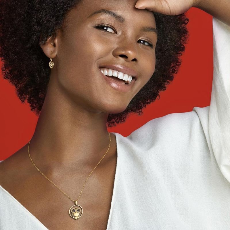 Estuche-Collar---Aretes-Owl-Dream