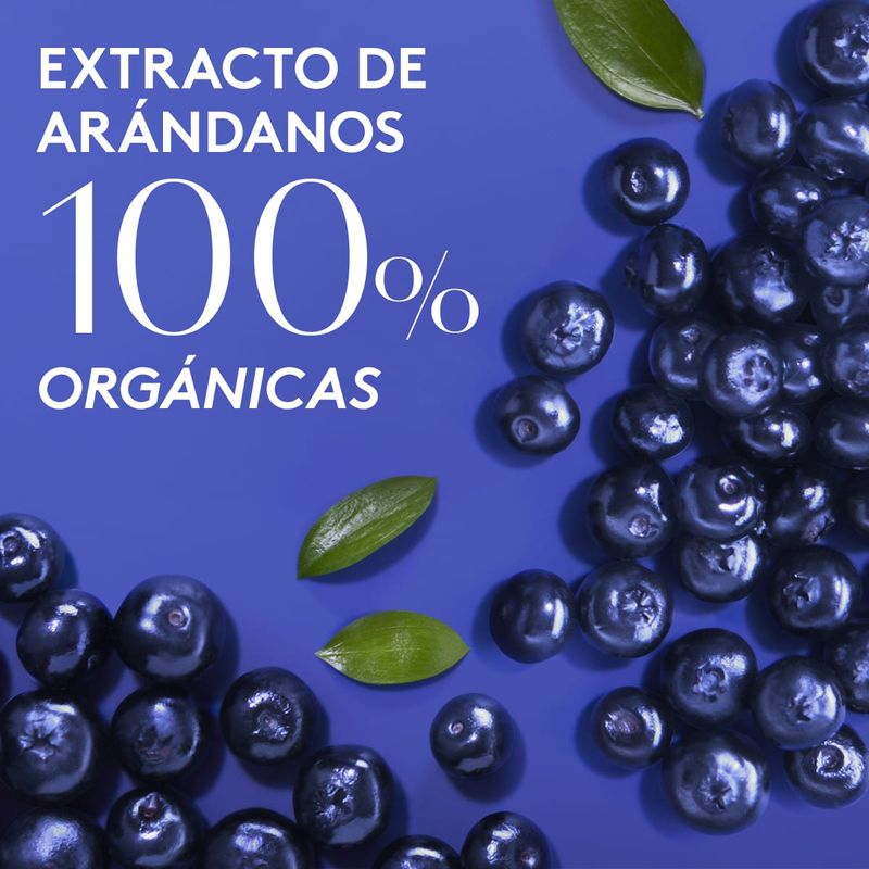 Extracto-de-arandanos-